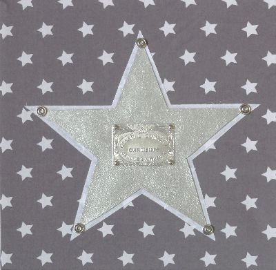 Schilderij Grey Star Silver
