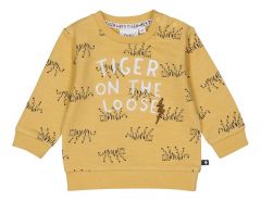 Sweater hey tiger feetje