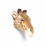 Wild And Soft Dierenkop Giraf Ruby