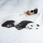 Snurk beddengoed panda 200x200