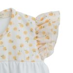 Boxpakje fruity ivory baby gi